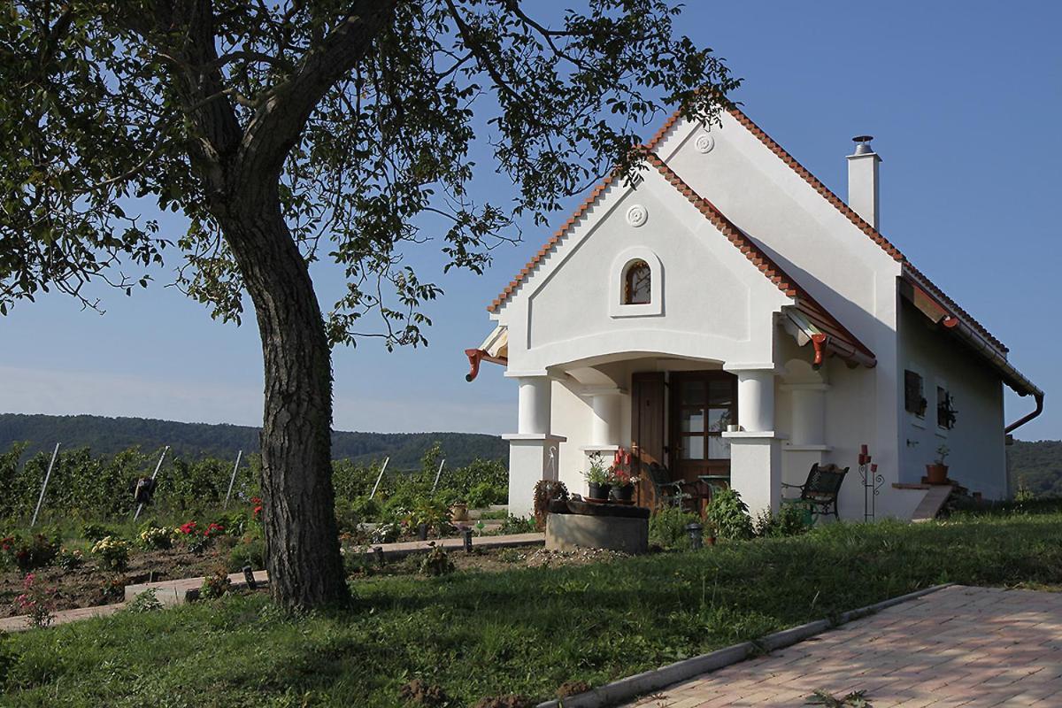 Villa Casa Beata Lesencetomaj Exterior foto