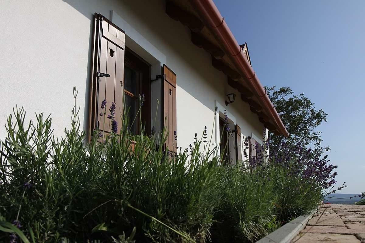 Villa Casa Beata Lesencetomaj Exterior foto